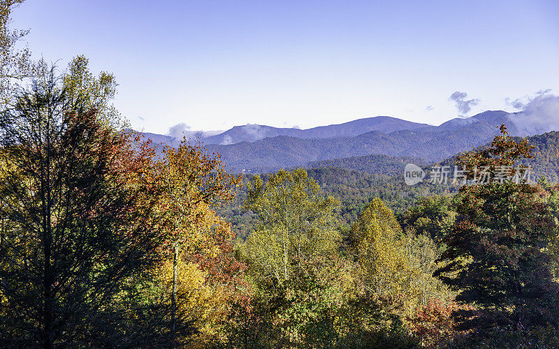 在北卡罗来纳州的阿巴拉契亚山脉可以看到很多颜色，在秋天，这些颜色是惊人的