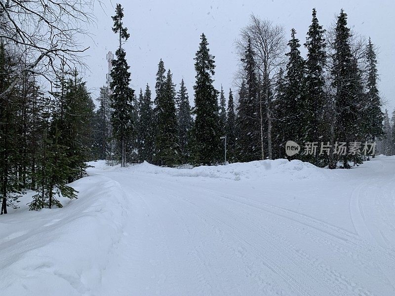 正在下雪的路上。