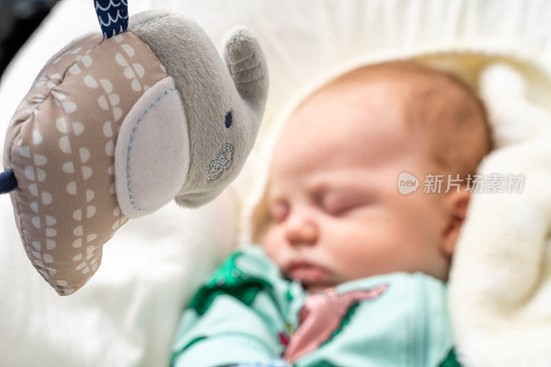 大象玩具在前景和可爱的小男孩睡觉在背景特写