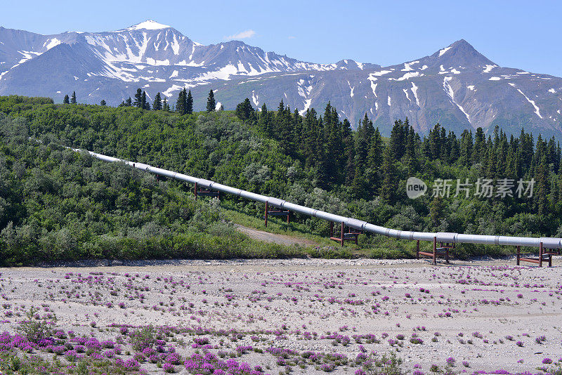 3651阿拉斯加山区管道