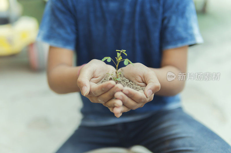 一个男孩重新盆栽植物和玩园艺在家里的屋顶上。