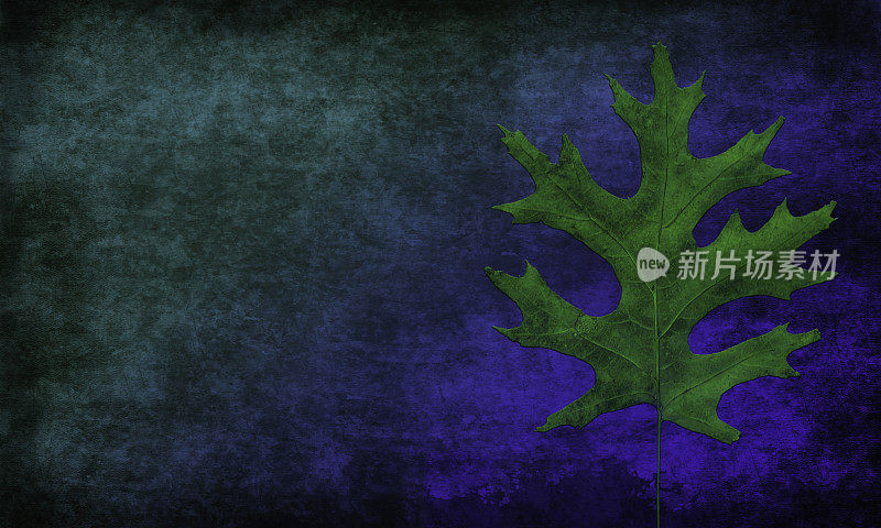 叶子在抽象的Grunge蓝绿色背景与复制空间