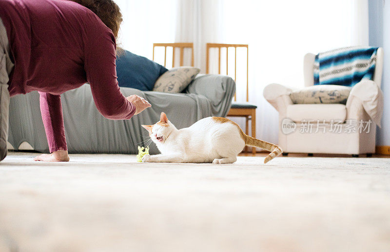 女人爱抚着她的猫