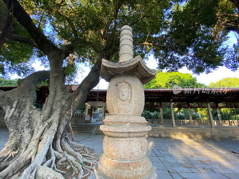 中国泉州开元寺，一座古老的佛寺中的佛塔