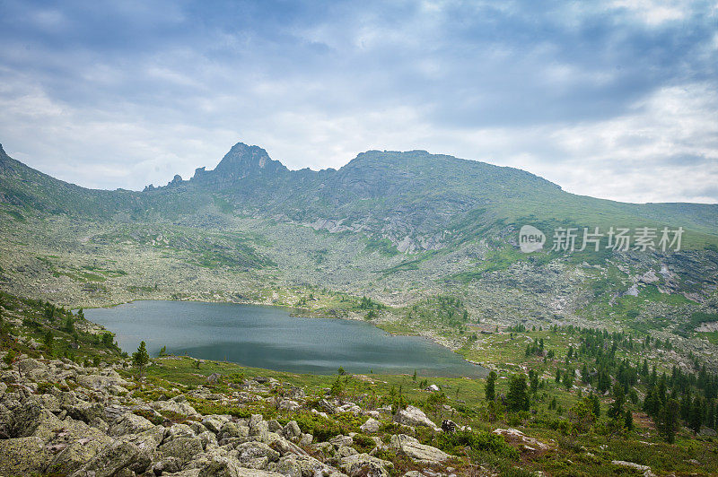 针叶林。西伯利亚。天山景湖上。