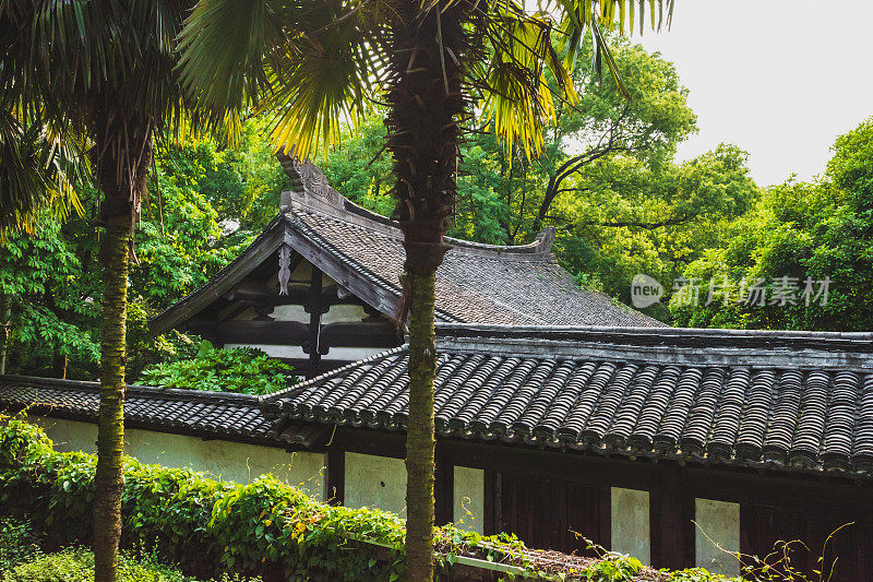 中国绍兴沈园景区的树木之间的中式建筑