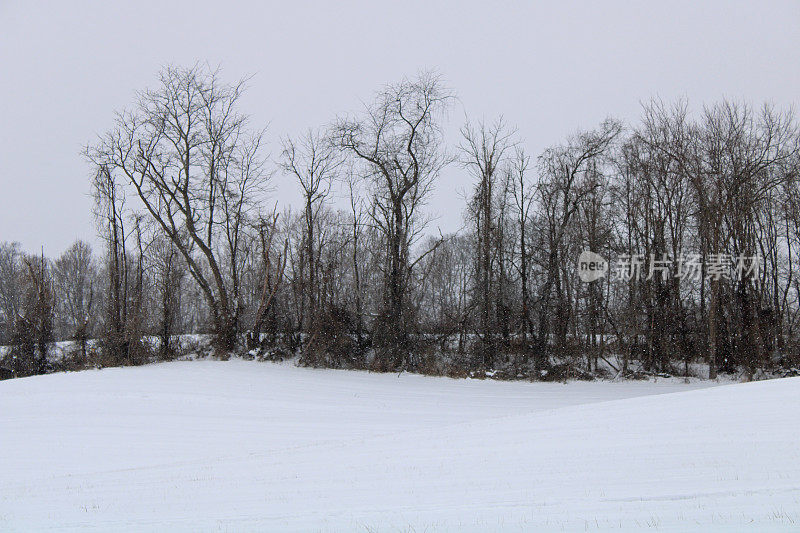 厚厚的雪，滚动的风景-冬天的季节