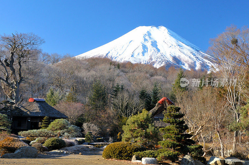 从山梨县的大野村看富士山的冬天