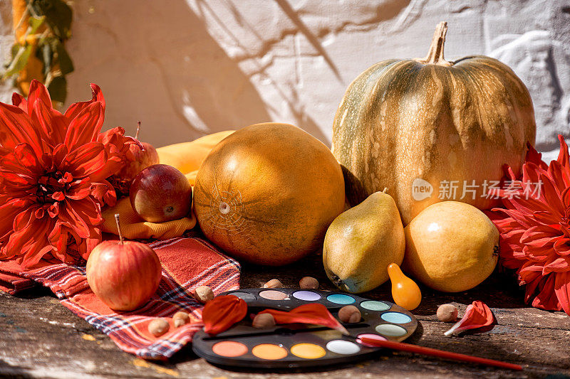 秋天色彩斑斓的审美静物:黄色的水果、蔬菜和亮色的画笔，南瓜、梨、苹果和甜瓜。感恩节。秋天的静物与红色的georgine，现代的影子