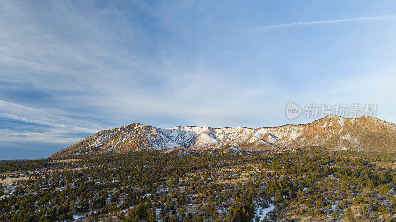 亚利桑那州弗拉格斯塔夫附近山脉之间的山谷中松树林的全景