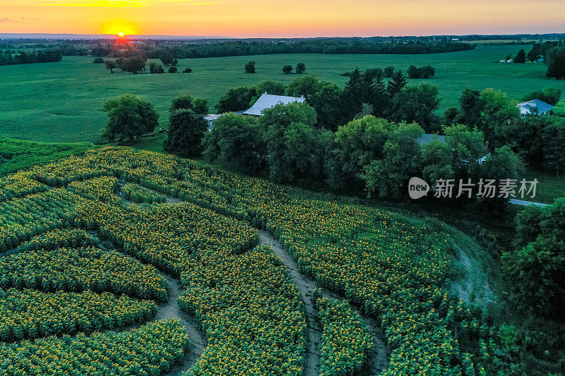 加拿大库克敦，夕阳下27号公路上的农场