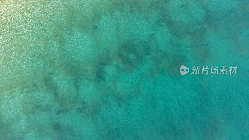 清澈的海水在伯利海滩，黄金海岸，澳大利亚昆士兰州