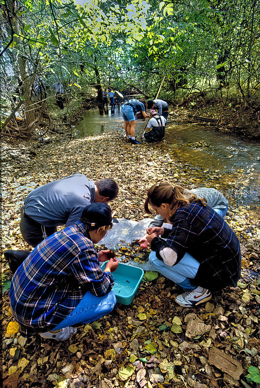 大学生学习河流生态学