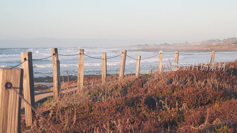 海洋海滩沙丘，加利福尼亚海岸植物群。小径，木制木板路。