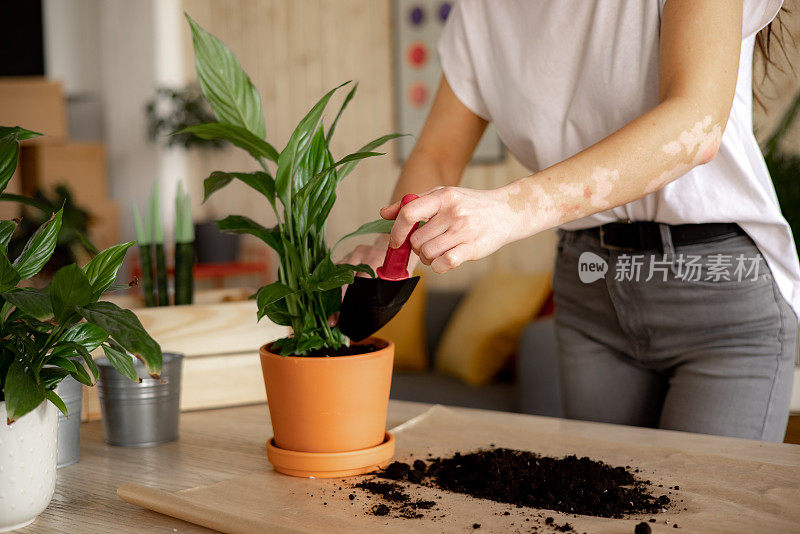 一个不知名的年轻白人妇女在家里照顾她的植物的特写