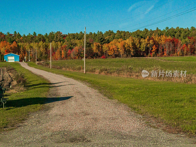 秋天的风景——通往农舍的砾石车道，背景是色彩斑斓的树木
