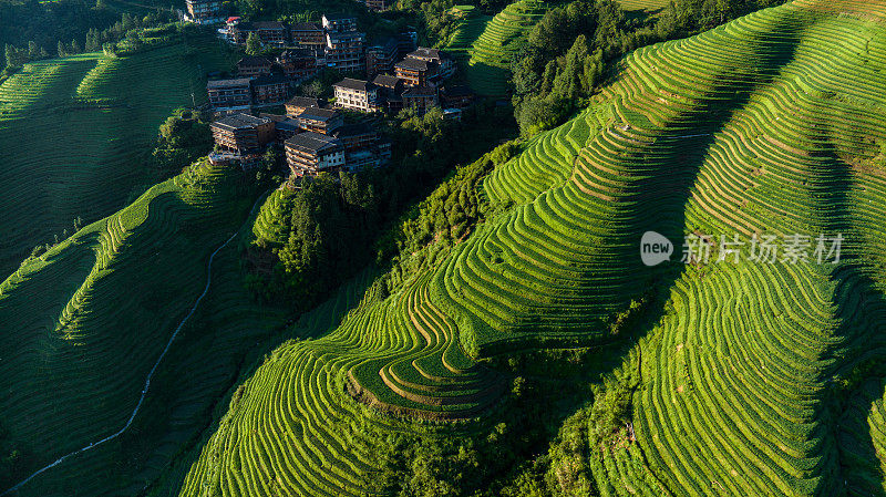 桂林隆基梯田