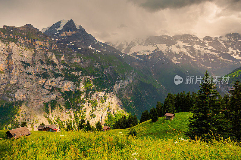 山的风景。Lauterbrunnen。瑞士。伯尔尼州。穆伦村庄。夏天。绿草