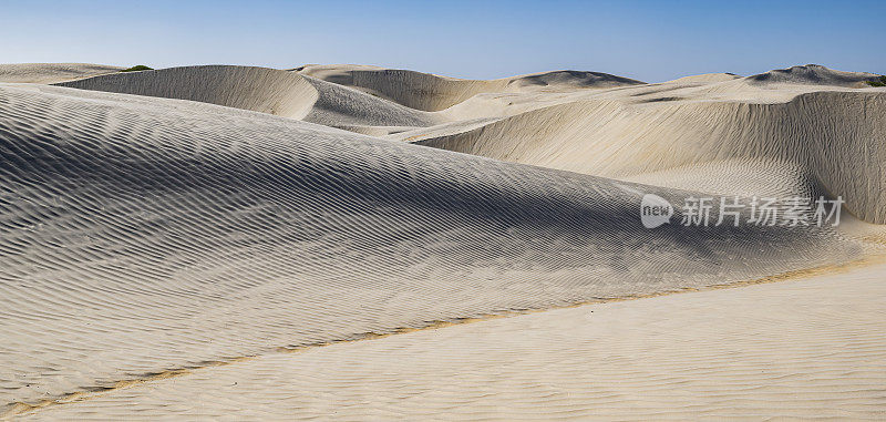 格雷罗内格罗的索莱达沙丘，格雷罗内格罗以北六英里外。下加利福尼亚，墨西哥。太平洋附近的沙丘。沙子从风吹来的图案。