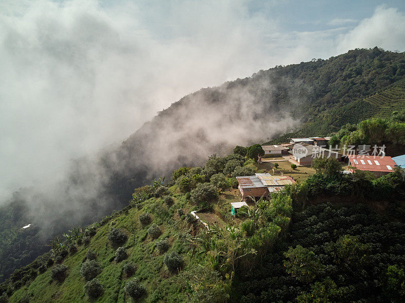 鸟瞰图在咖啡山中间的乡村别墅