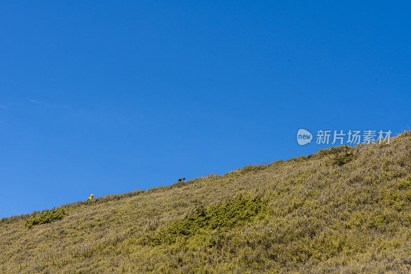 徒步旅行者独自走在山顶上。