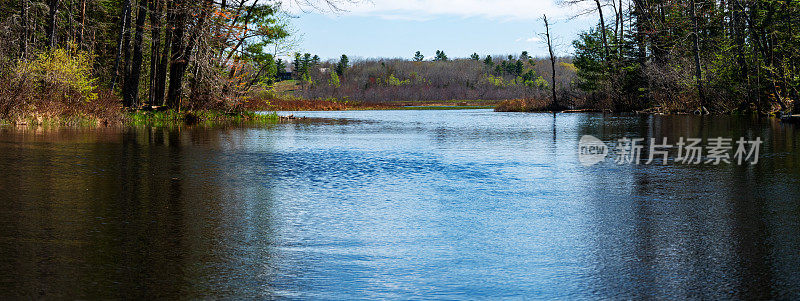 在缅因州的春天，从皮划艇上可以看到鹅河流入上梅森池塘。