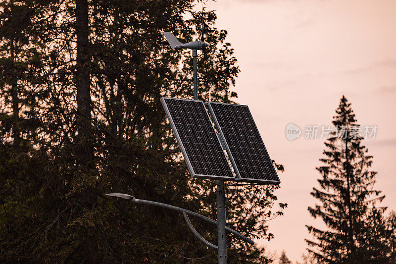 户外森林中的小型太阳能电池板。绿色能源概念摄影，电站太阳能电池。日落时天气晴朗。