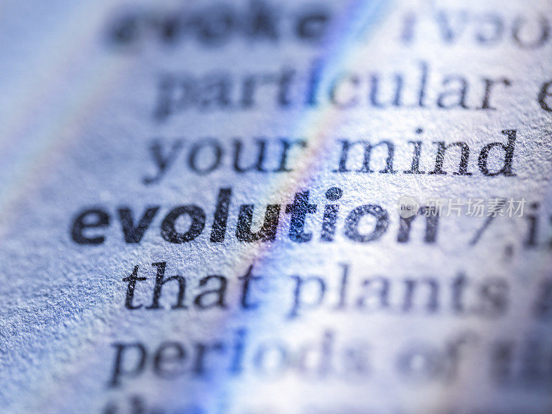 进化的词写在字典里