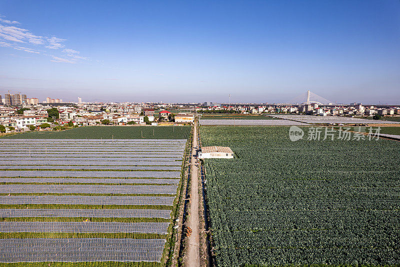 在阳光明媚的日子鸟瞰现代农业用地