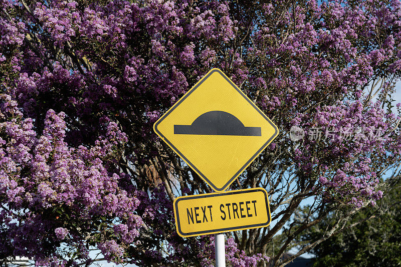 一个黄色减速带的标志显示在盛开的紫薇前
