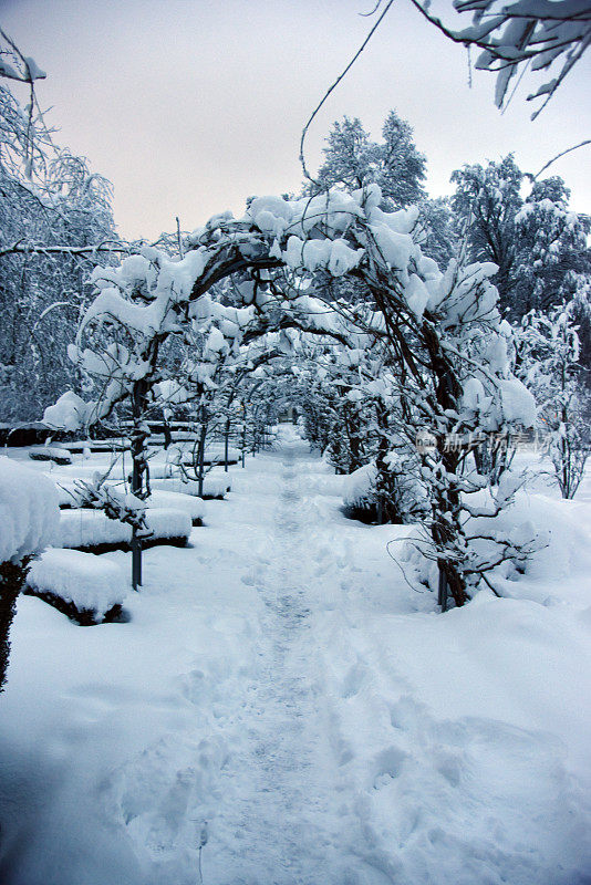 大雪过后的苏黎世