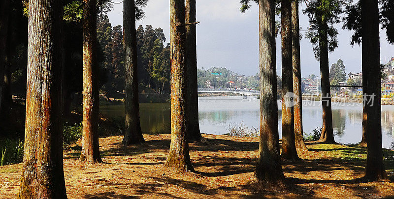 位于印度西孟加拉邦大吉岭区的喜马拉雅山麓地带，松树林环绕着美丽的mirik湖景色