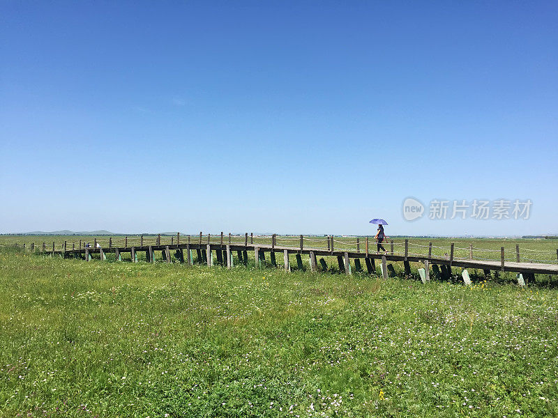 草原湿地公园风景，中国