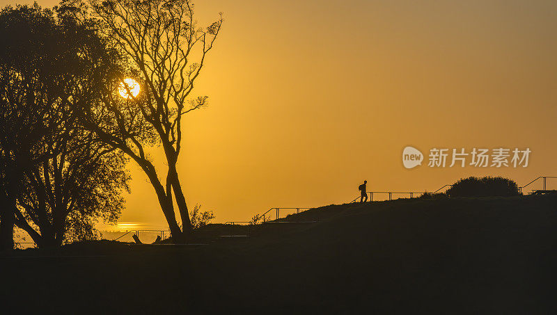 一个人走在木板路上的剪影，太阳从树上升起。伊甸山顶。奥克兰。