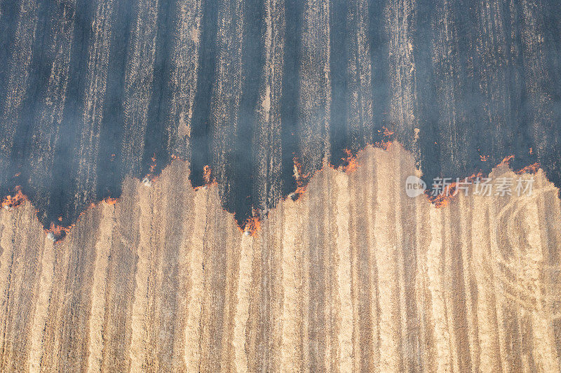 农田着火了。麦田大火。