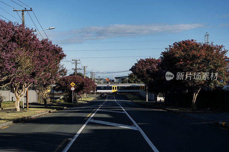 在柔和的暮色中，一列火车驶近一条安静的街道上的十字路口，街道两旁是盛开的紫薇树。