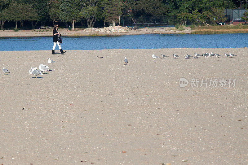 海滩沃克