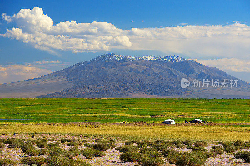 有游牧帐篷的蒙古景观