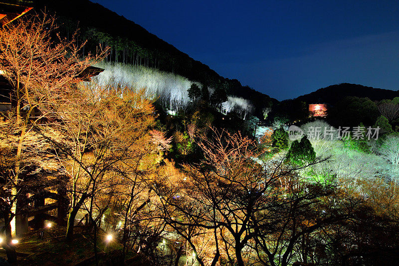 《京都议定书》在晚上