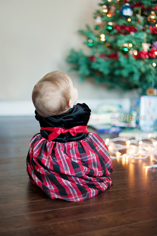 小女孩看着圣诞树