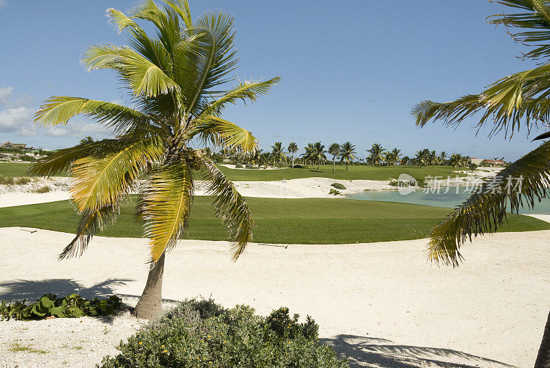 热带高尔夫球场，蓬塔卡纳，多米尼加共和国