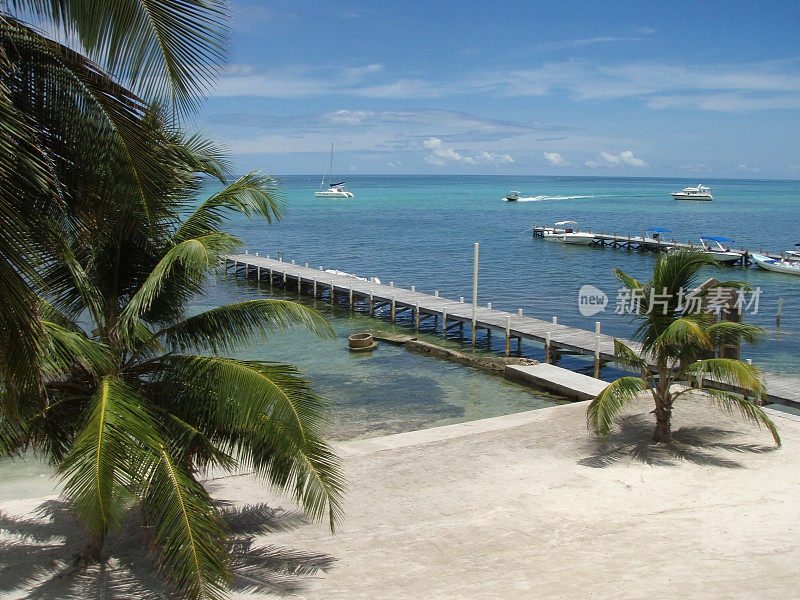 美丽的加勒比圣佩德罗海滩船伯利兹棕榈树