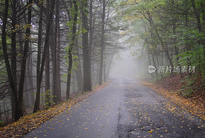 模糊的道路