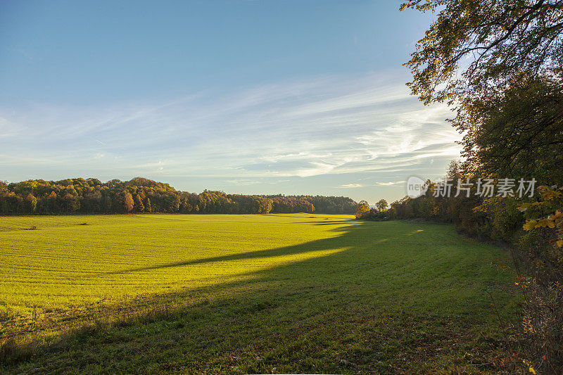 初秋日落时，绿色的田野上有长长的影子。