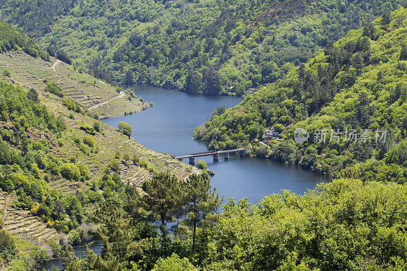 Ribeira骶骨