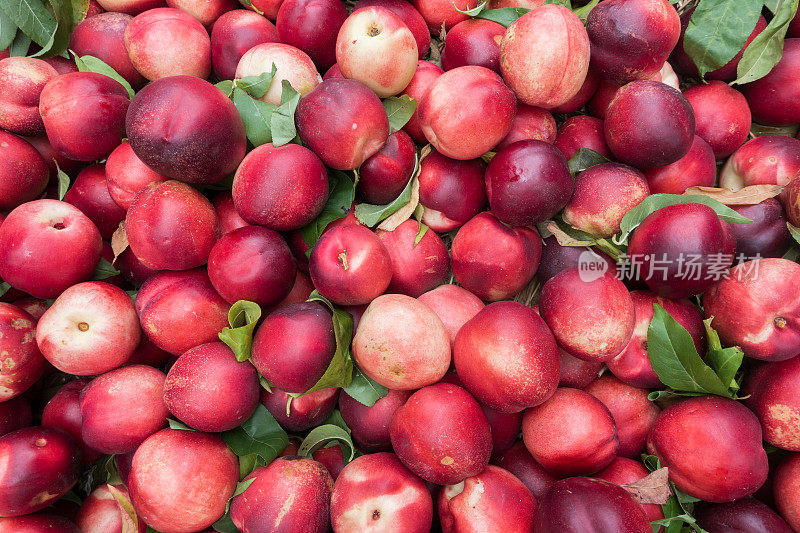 新鲜有机油桃在农贸市场出售