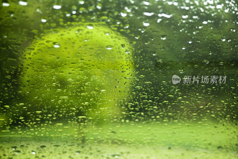 花园和树透过窗户在一个雨天。