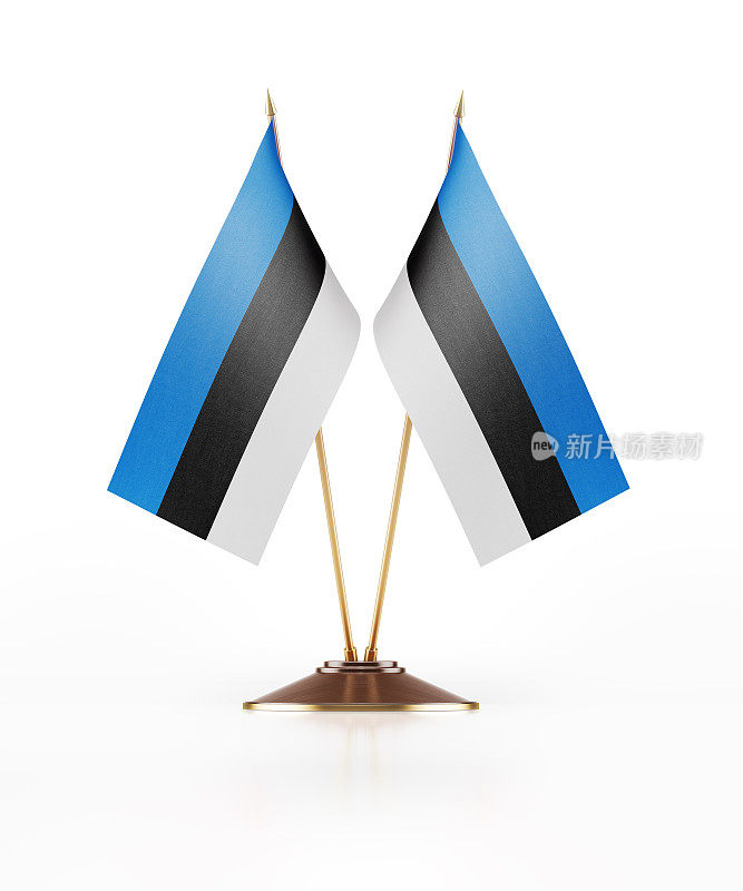 爱沙尼亚小型国旗