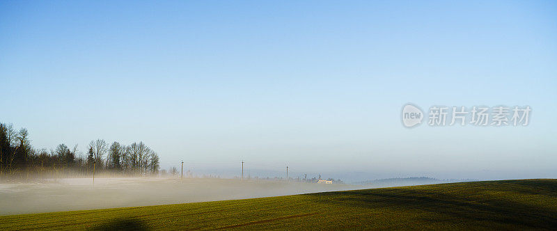 日出时有雾的乡村景观。白俄罗斯、东欧