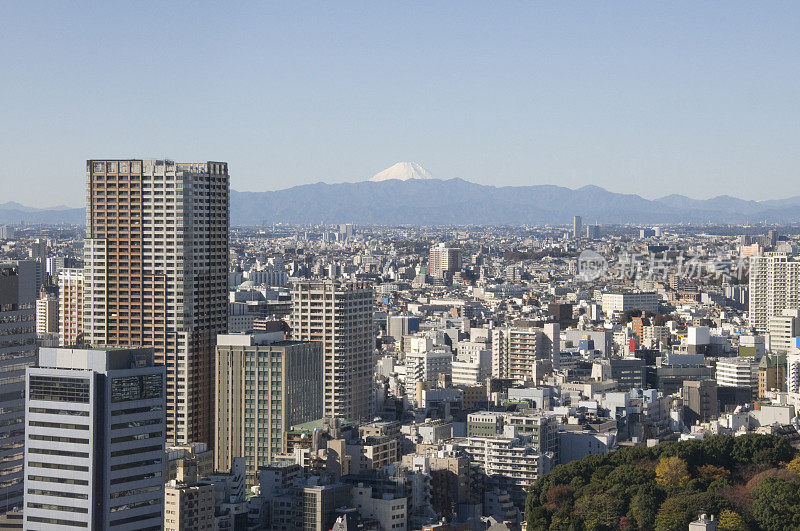 富士山